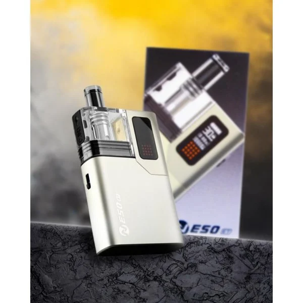 RINCOE-NESO-ET-主機-1-600x600